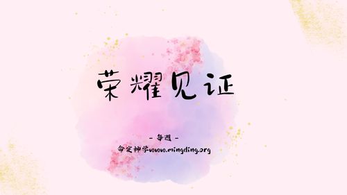 【见证集】- 20230430