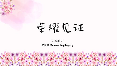 【见证集】- 20230507