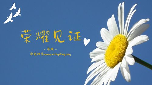 【见证集】- 20230611