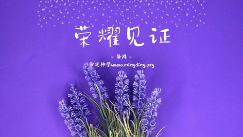 【见证集】- 20230618