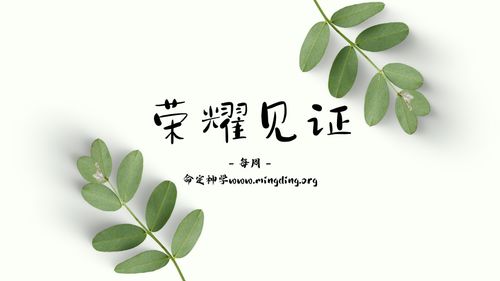 【见证集】- 20230625