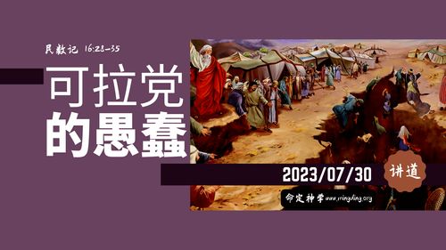 【讲道】- 可拉党的愚蠢