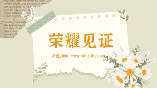 【见证集】- 20230730