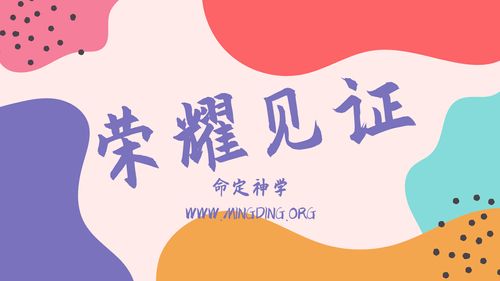 【见证集】- 20230903