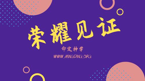 【见证集】- 20230910