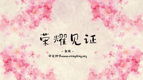 【见证集】- 20231001