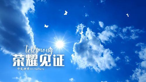 【见证集】- 20231022