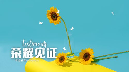 【见证集】- 20231029