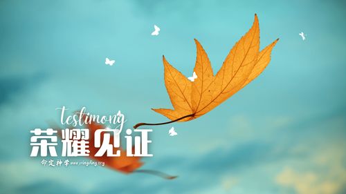 【见证集】- 20231231