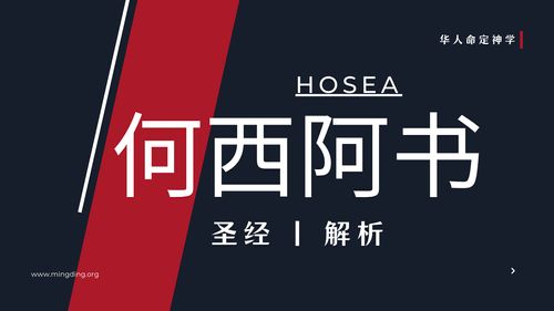 【查经】何西阿书 07章 - 愚蠢无知悖逆的百姓必作人的讥笑