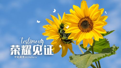 【见证集】- 20240107