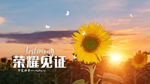 【见证集】- 20240114