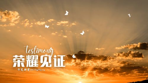 【见证集】- 20240218