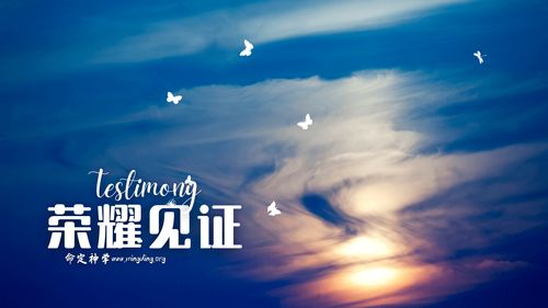 【见证集】- 20240324