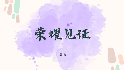 【见证集】- 20240407