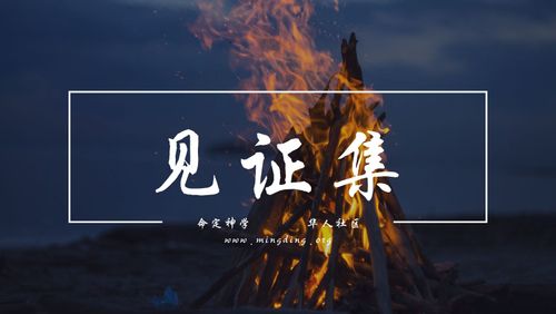 【见证集】- 20240428