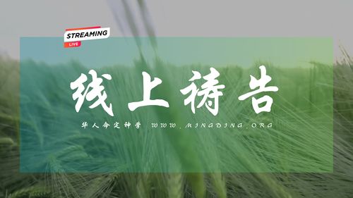 【主日聚会祷告】- 不再依靠自己！不再狂妄！