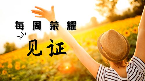 【见证集】- 20240505