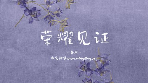 【见证集】- 20240519