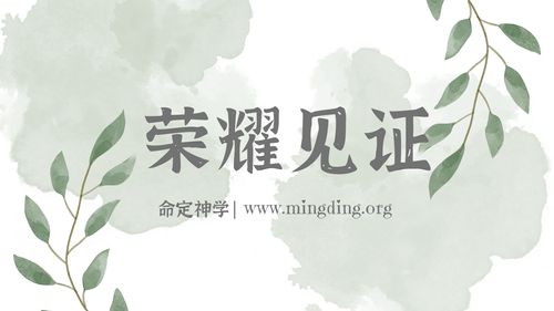 【见证集】- 20240602