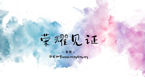 【见证集】- 20240707