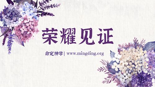 【见证集】- 20240721