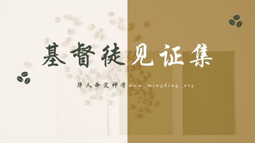 【见证集】- 20240728