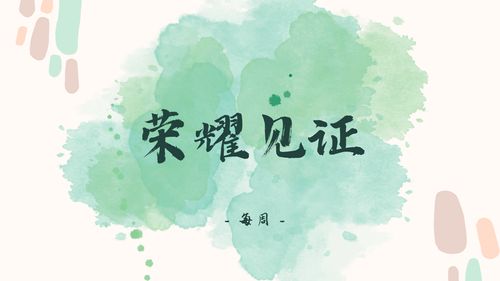 【见证集】- 20240929