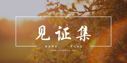 【见证集】- 20241027