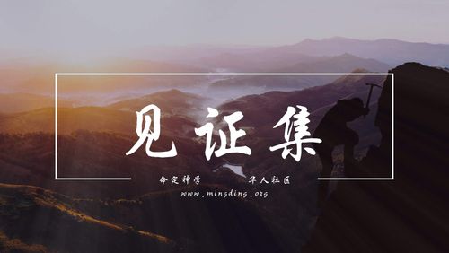 【见证集】- 20241103