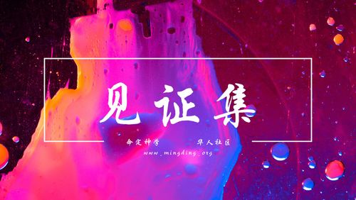 【见证集】- 20241201