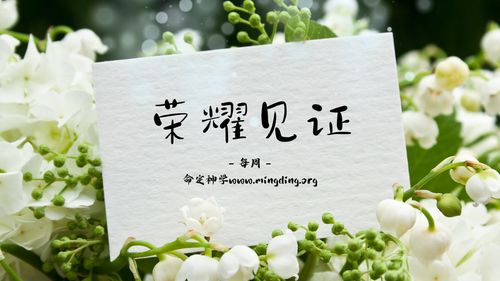 【见证集】- 20241208