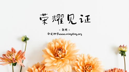 【见证集】- 20241222