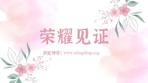 【见证集】- 20241229