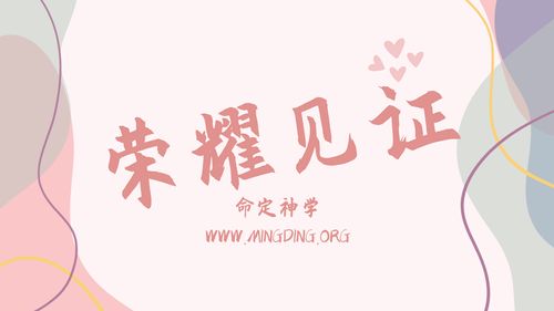 【见证集】- 20250105