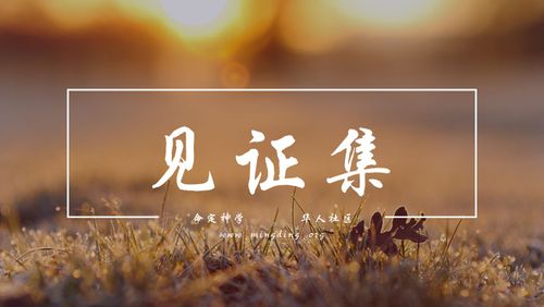 【见证集】- 20250119