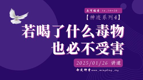 【讲道】【神迹系列】 04：若喝了什么毒物，也必不受害！