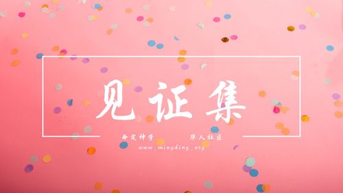 【见证集】- 20250209