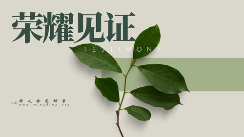 【见证集】- 20250309