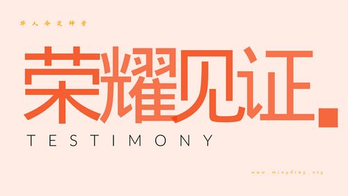 【见证集】- 20250420