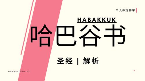 【查经】哈巴谷书 总结