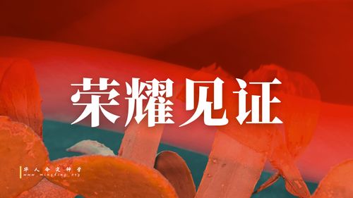 【见证集】- 20250323