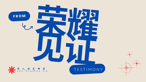 【见证集】- 20250330