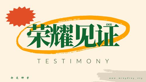 【见证集】- 20250504