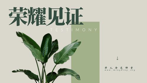 【见证集】- 20250518