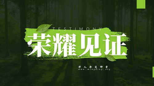 【见证集】- 20250525