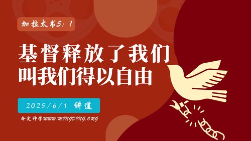 【讲道】使徒保罗的福音系列（4）- 基督释放了我们，叫我们得以自由！