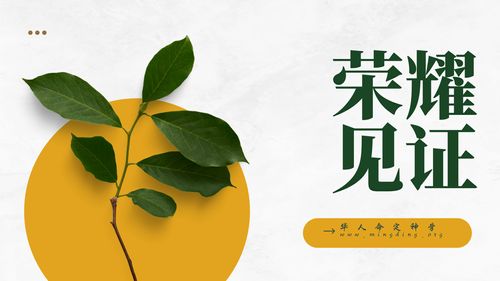 【见证集】- 20250608