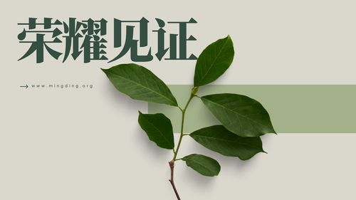 【见证集】- 20250615