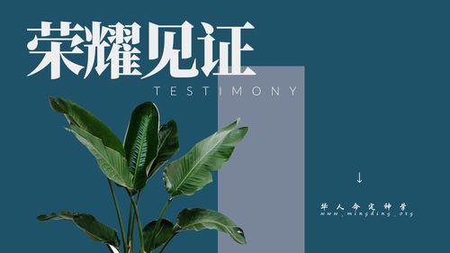 【见证集】- 20250622